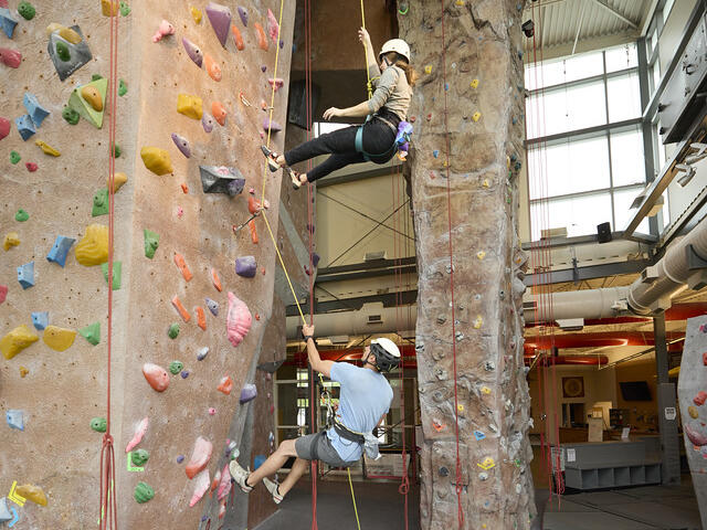 Lead Climbing and Belaying Clinic